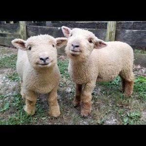 Meet your Posher, Jeff